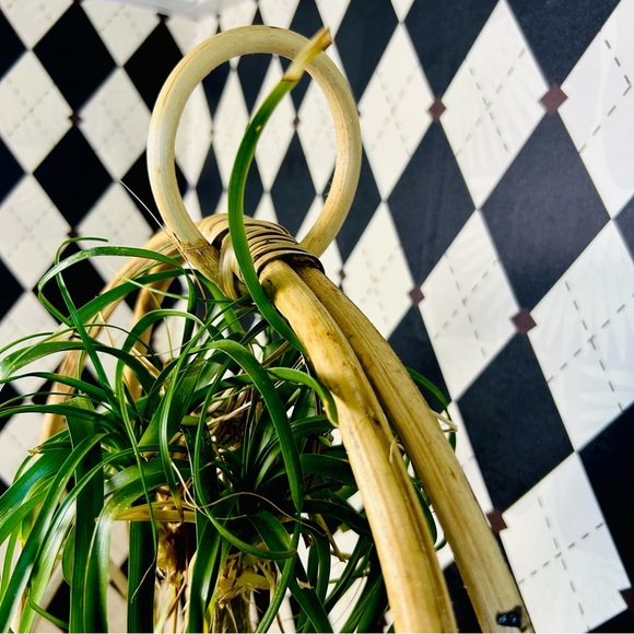 ELABORATE Rattan Planters 22” Pair Circular Frame Boho Coastal Rustic Luxury - Picture 7 of 11